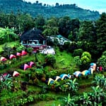 Skoola Adventours - Eagle Hill Camp dan Adventure Cipayung Bogor